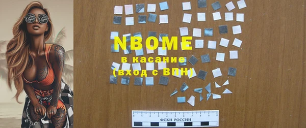 индика Михайловск
