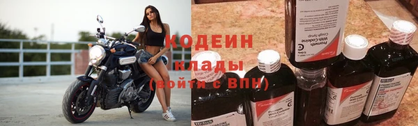 индика Михайловск