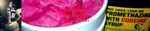 индика Михайловск