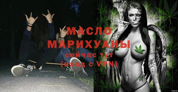 индика Михайловск