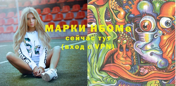 индика Михайловск
