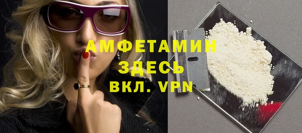 индика Михайловск
