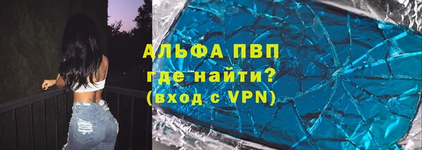 индика Михайловск