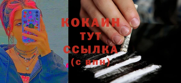 индика Михайловск