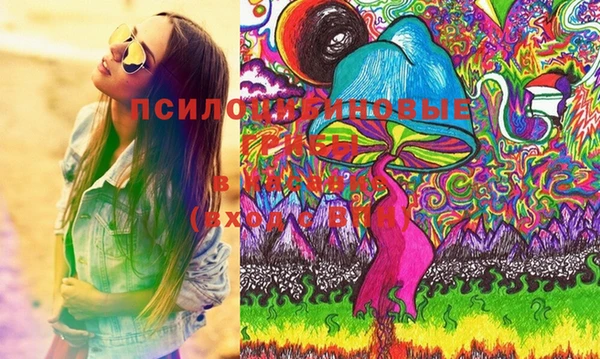индика Михайловск