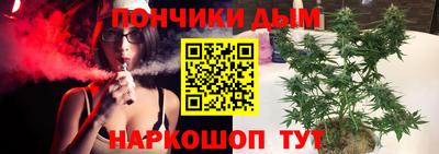 шишки Берёзовский