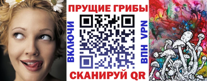 Псилоцибиновые грибы Psilocybe  Губкин 