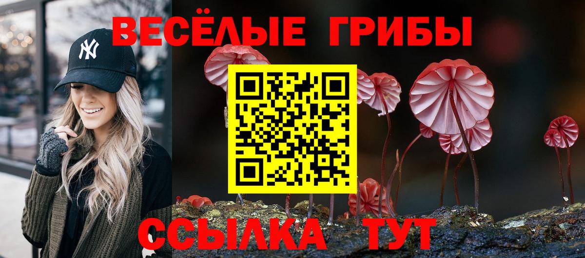 Галлюциногенные грибы GOLDEN TEACHER Губкин