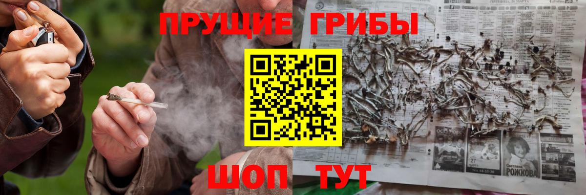 Губкин  Галлюциногенные грибы мицелий  Вход с VPN  Галлюциногенные грибы MAGIC MUSHROOMS 