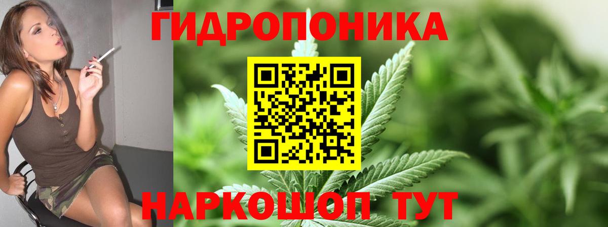 Бошки марихуана White Widow  Губкин  Бошки Шишки THC 21% 
